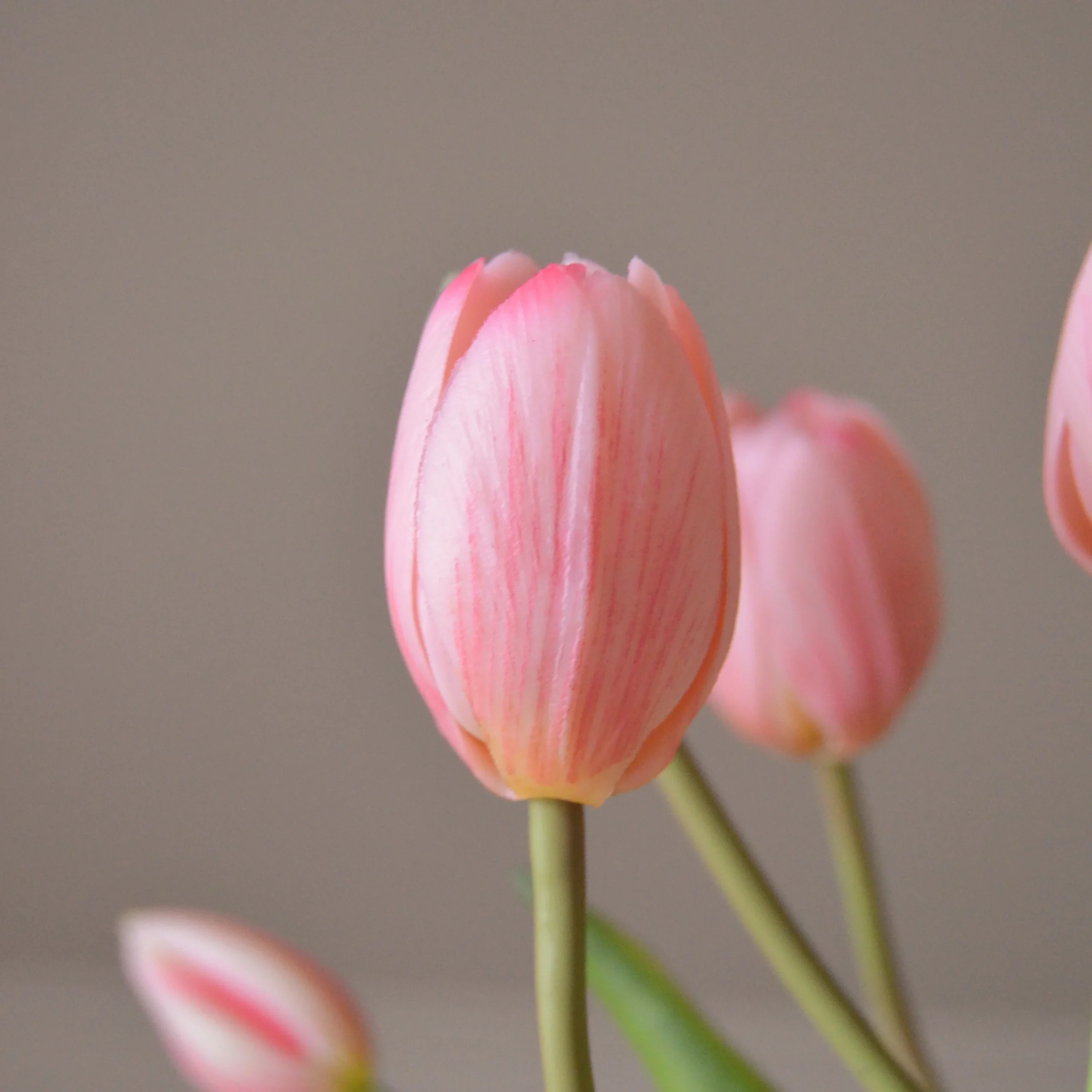 Tulip Bouquet - Image 2